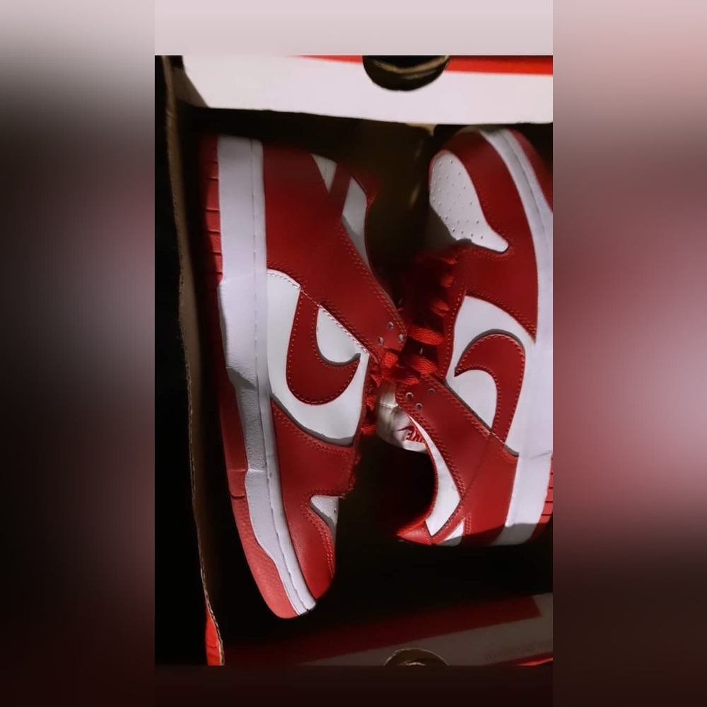 Nike dunks
